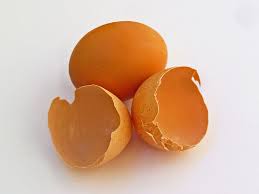 eggshells
